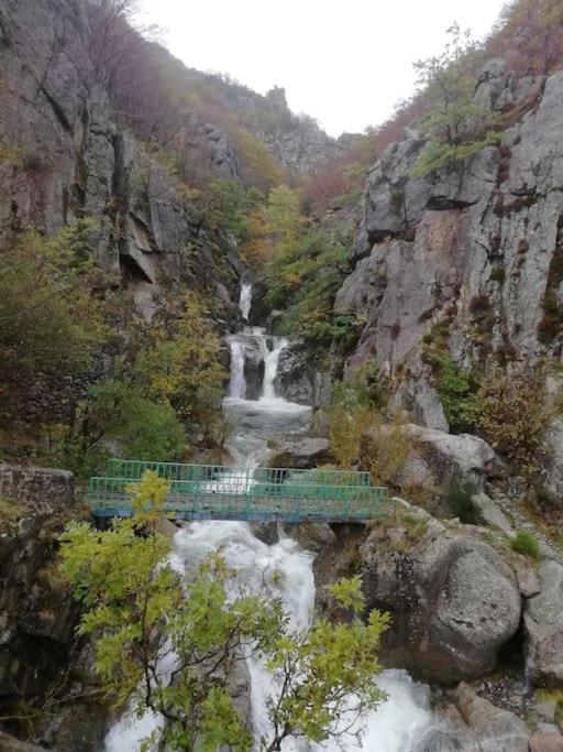 Gite De Noe Au Ray-Pic Pereyres Dış mekan fotoğraf