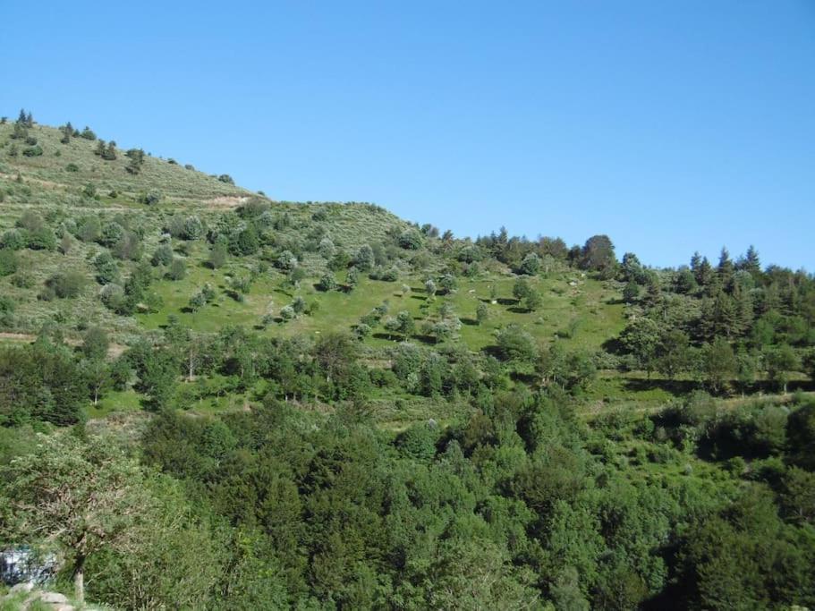 Gite De Noe Au Ray-Pic Pereyres Dış mekan fotoğraf