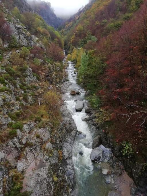 Gite De Noe Au Ray-Pic Pereyres Dış mekan fotoğraf