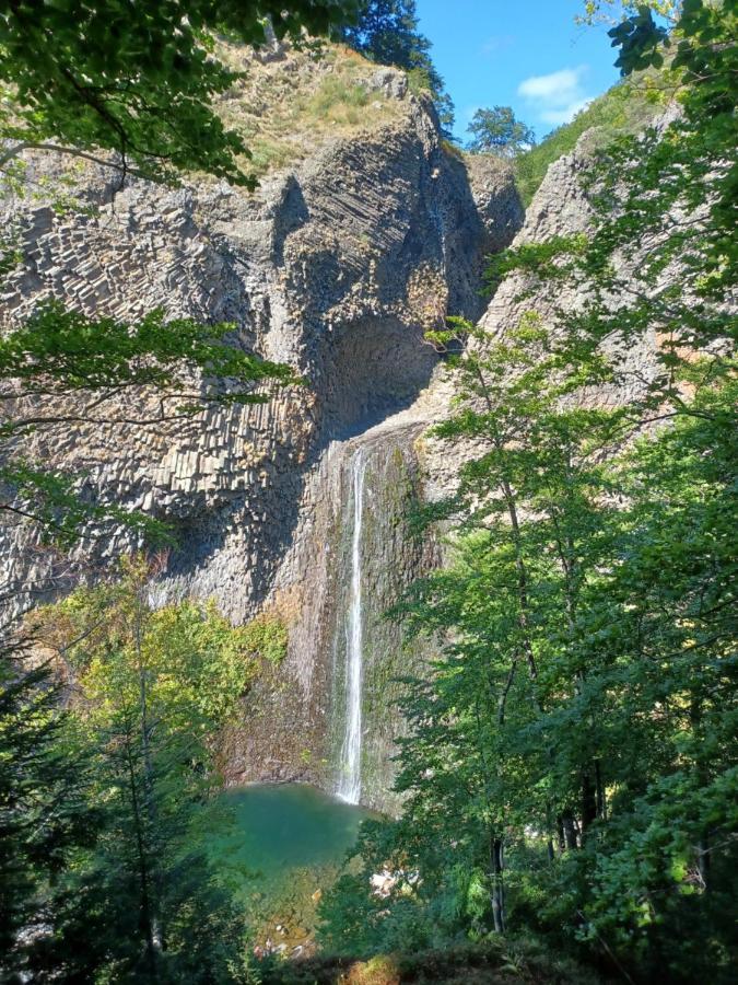 Gite De Noe Au Ray-Pic Pereyres Dış mekan fotoğraf